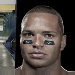 quotes by Brendon Ayanbadejo