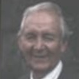 quotes by Louis J. Camuti