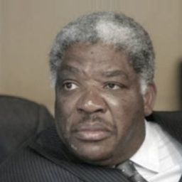 quotes by Levy Mwanawasa