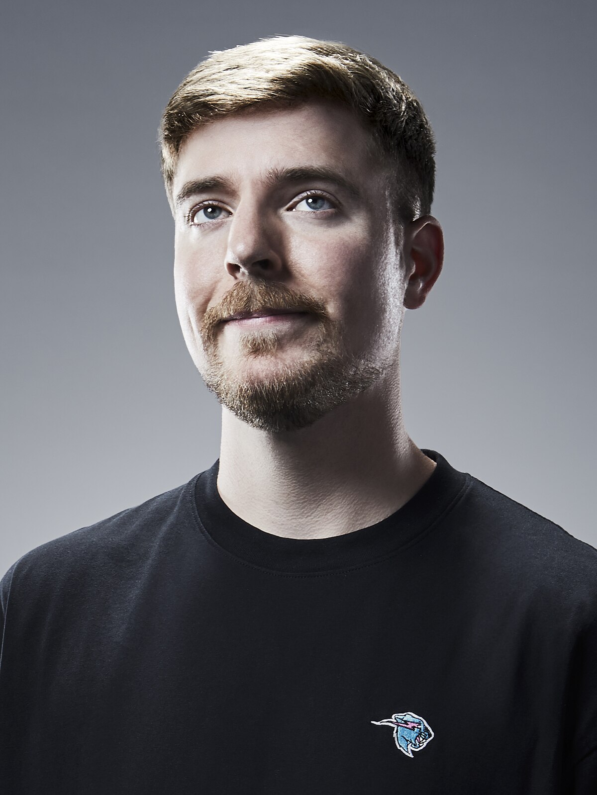 110 MrBeast Quotes That Are Innovative About YouTube Success QUOTLR