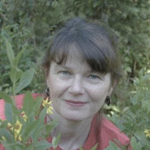 quotes by Janet Lee Carey