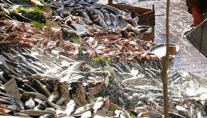 being outstanding Quotes