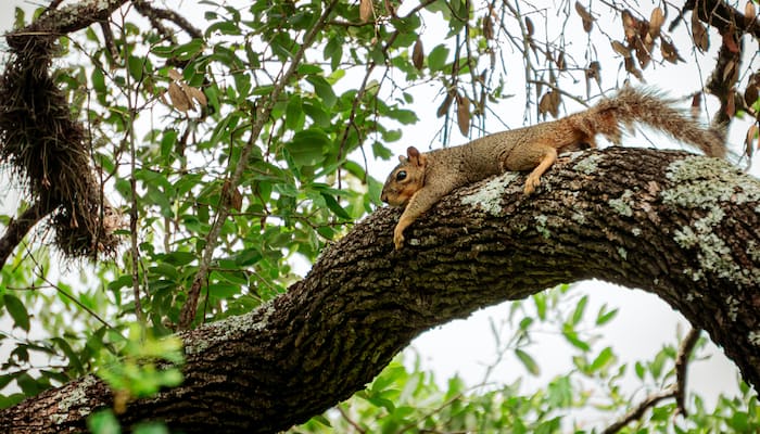 feeling satisfied Quotes