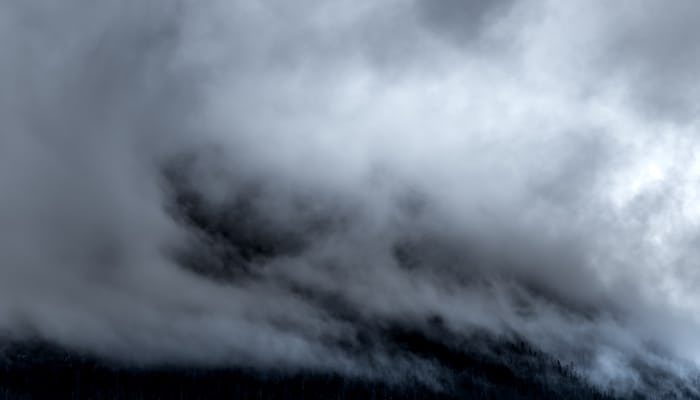 fog Quotes