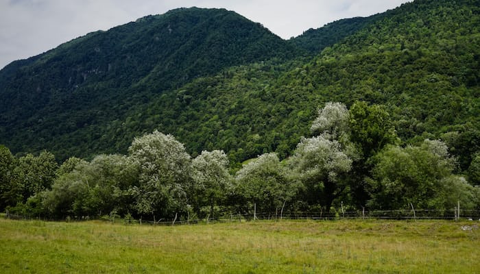 loving your enemies Quotes
