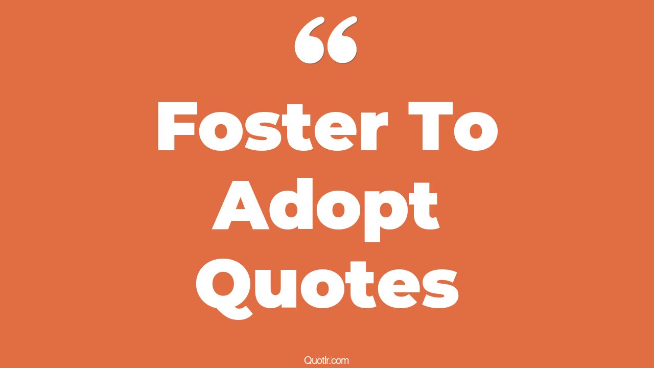 13 Eye Opening Foster To Adopt Quotes That Will Inspire Your Inner Self
