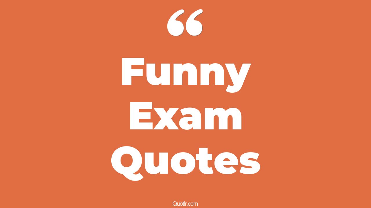 6+ Remarkable Funny Exam Quotes That Will Unlock Your True Potential