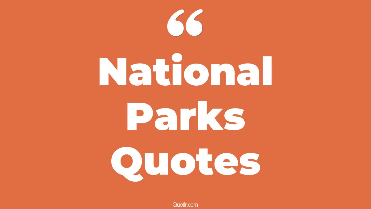 45+ Powerful National Parks Quotes That Will Unlock Your True