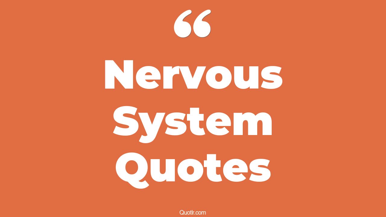 45 Almighty Parasympathetic Nervous System Quotes | your nervous system ...
