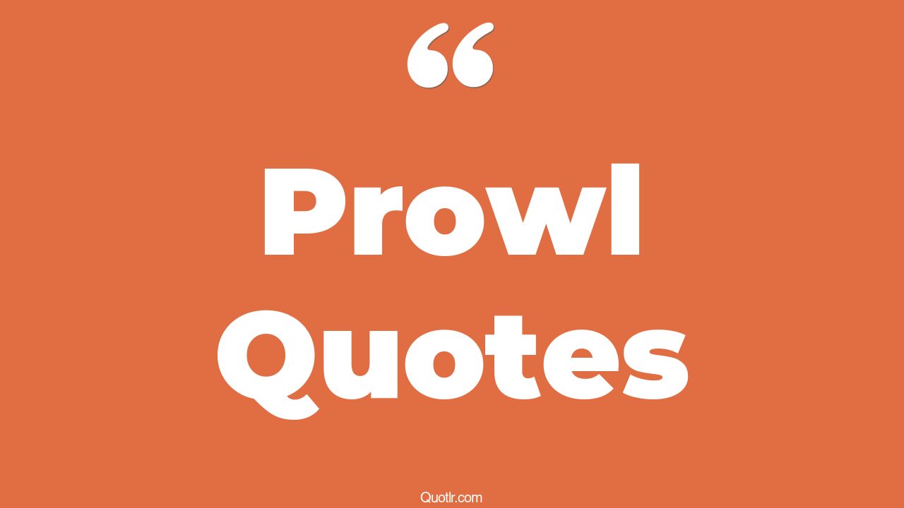 107 Impressive Prowl Quotes (profiling, probing questions, progressing)
